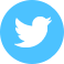 Twitter Icon