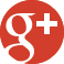 Google Plus Icon